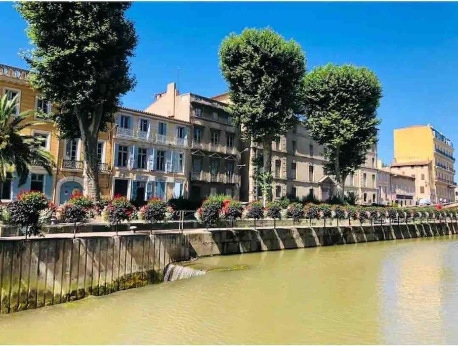 Soleil Sucre T2 Centre Historique De Narbonne Apartamento Exterior foto