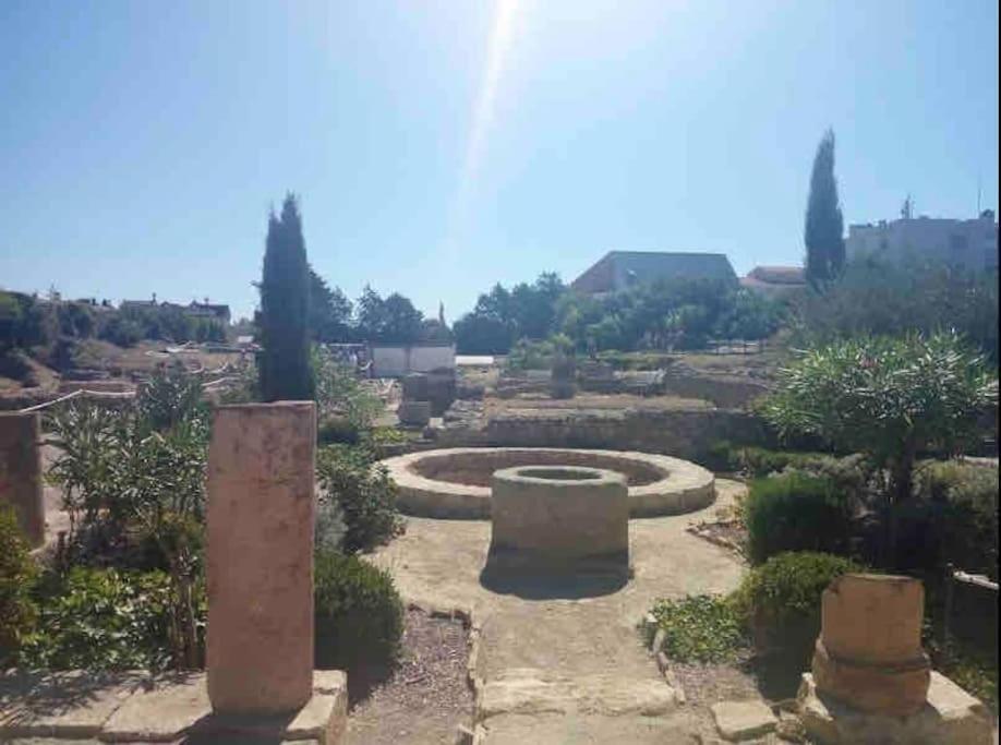 Soleil Sucre T2 Centre Historique De Narbonne Apartamento Exterior foto