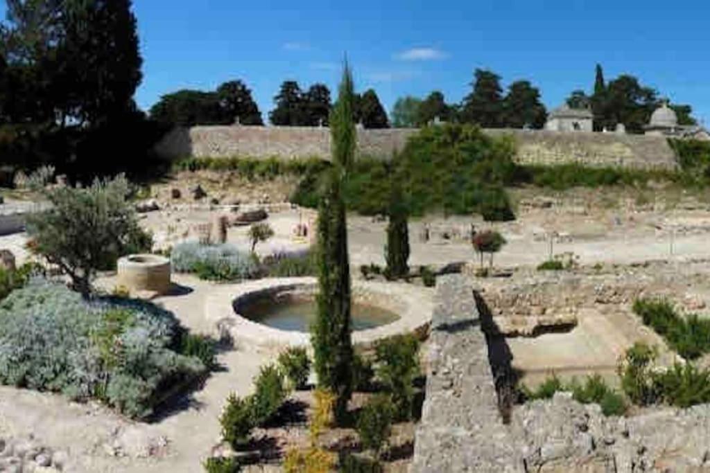 Soleil Sucre T2 Centre Historique De Narbonne Apartamento Exterior foto