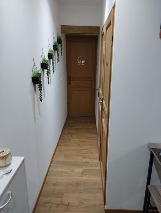 Soleil Sucre T2 Centre Historique De Narbonne Apartamento Exterior foto